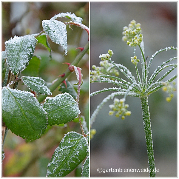 Frostiger Niederschlag